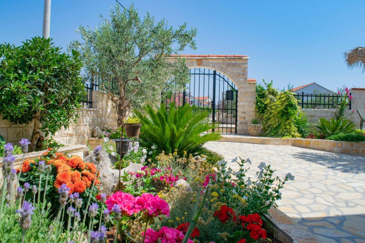 Apartments Solta Gornje Selo 外观 照片
